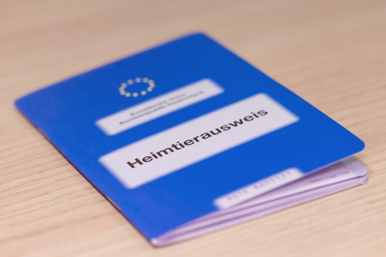 EU-Heimtierausweis in blauer Farbe, der flach auf einem Holztisch liegt. Auf dem Ausweis steht deutlich „Heimtierausweis“ geschrieben, und das EU-Emblem ist oben zu erkennen.